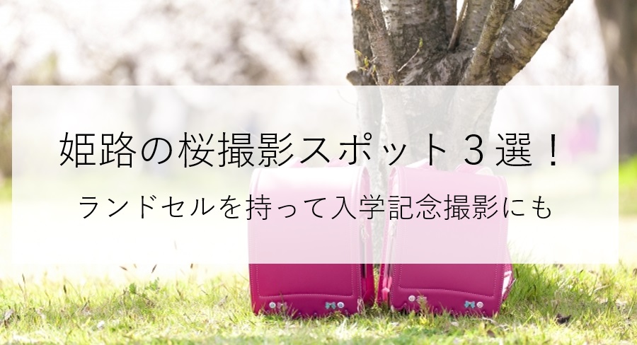 姫路の桜撮影スポット